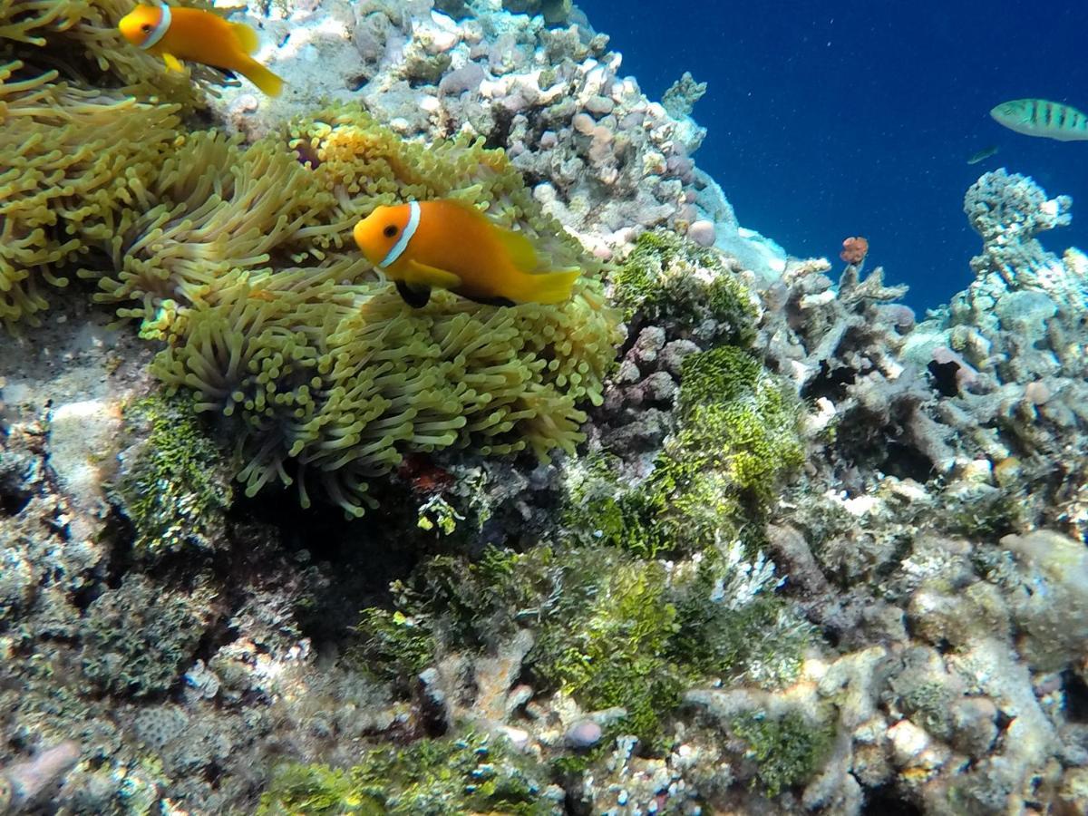 Atoll Residence Dhangethi Eksteriør bilde